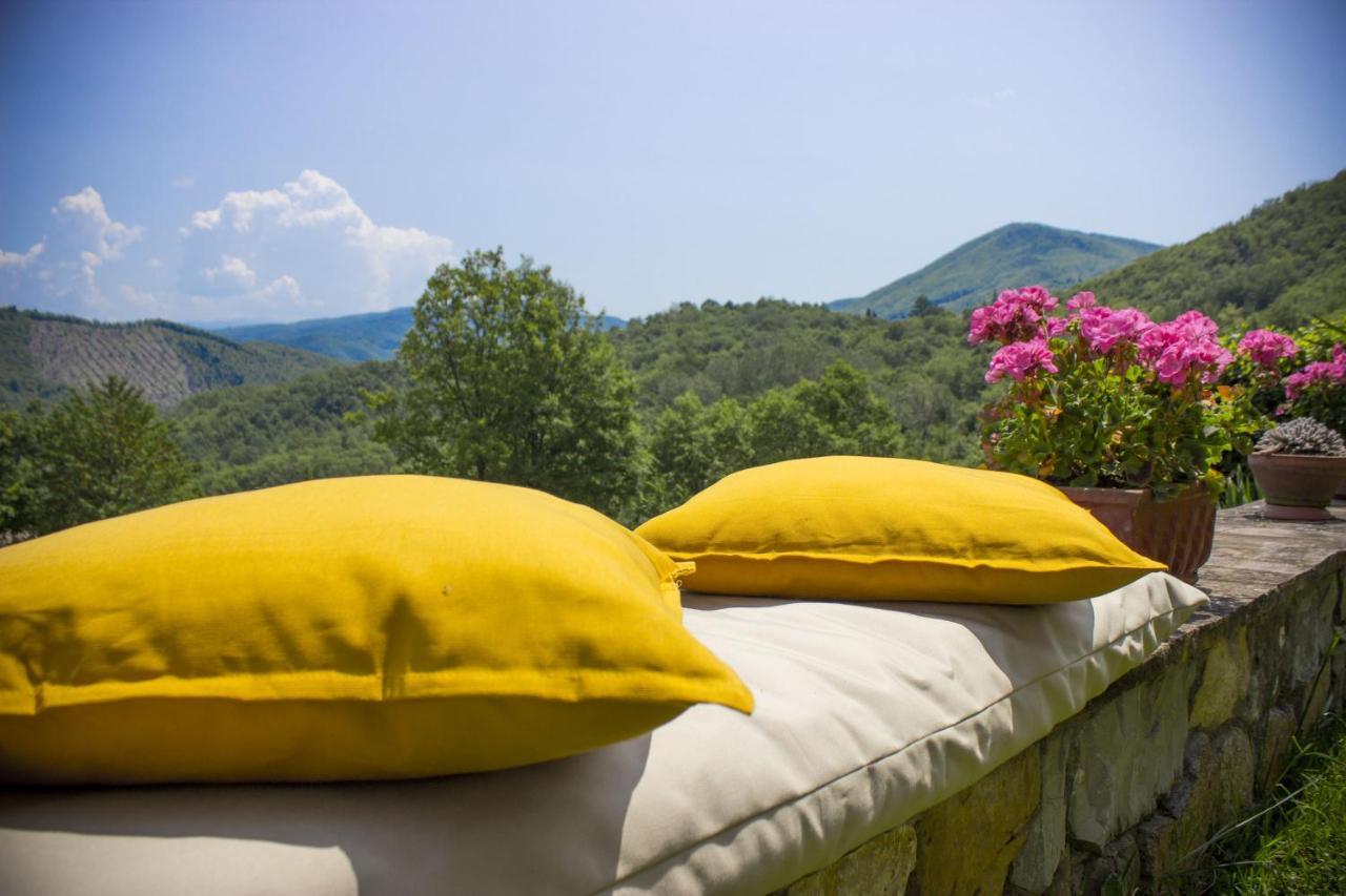 Villa Porcigliano Olive Grove Polcanto 외부 사진