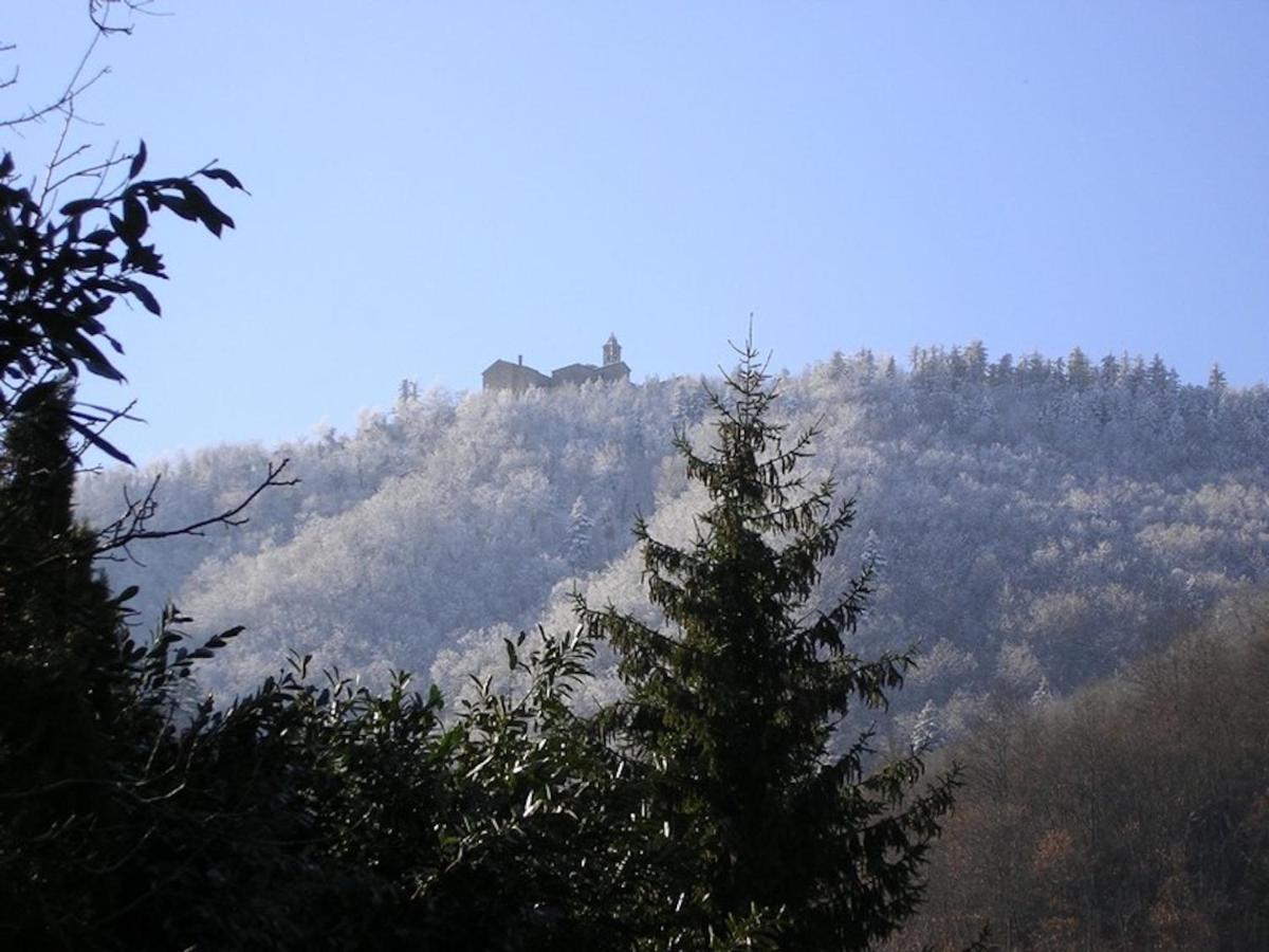 Villa Porcigliano Olive Grove Polcanto 외부 사진