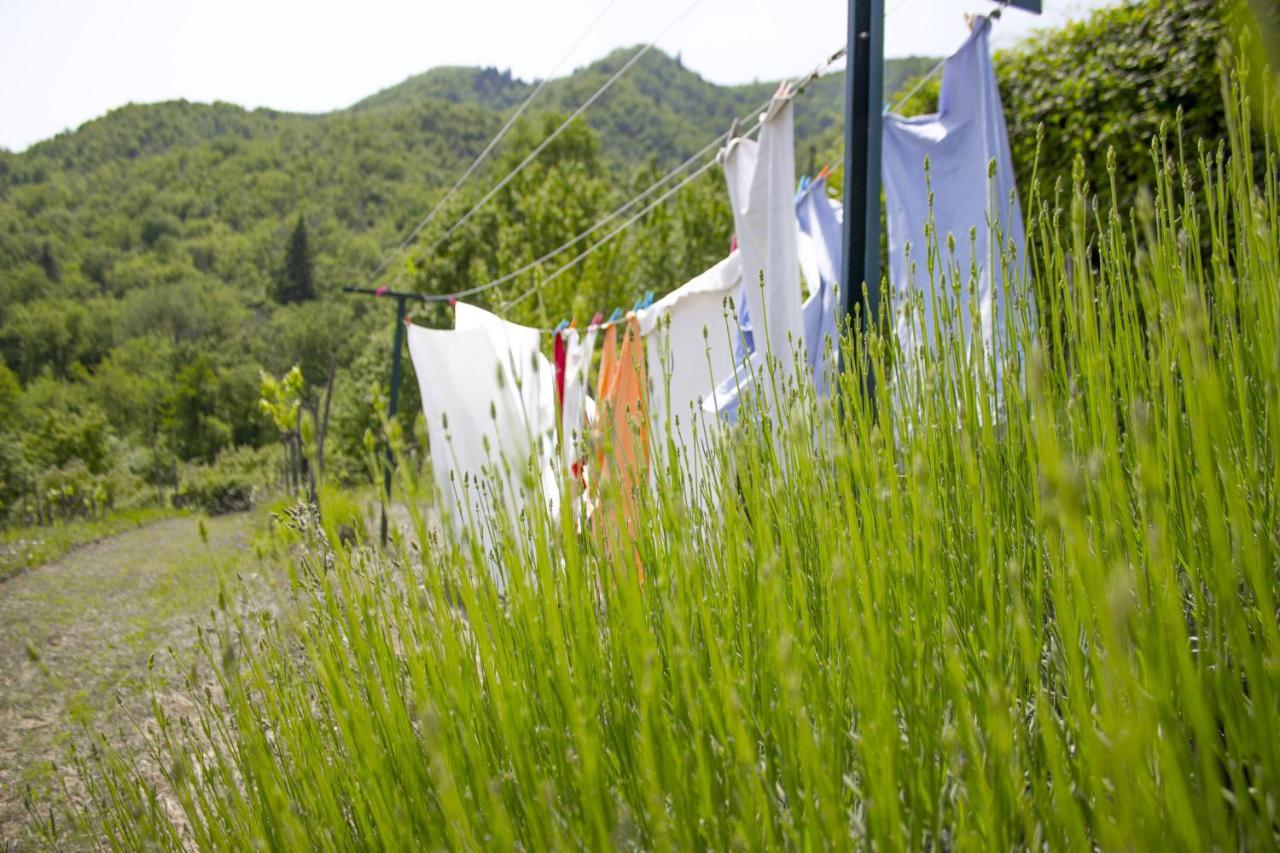 Villa Porcigliano Olive Grove Polcanto 외부 사진
