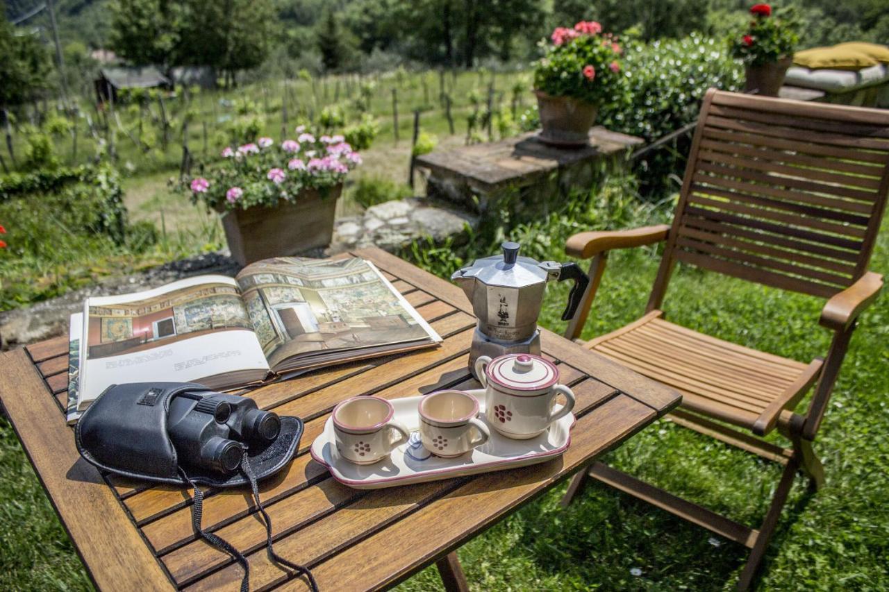Villa Porcigliano Olive Grove Polcanto 외부 사진