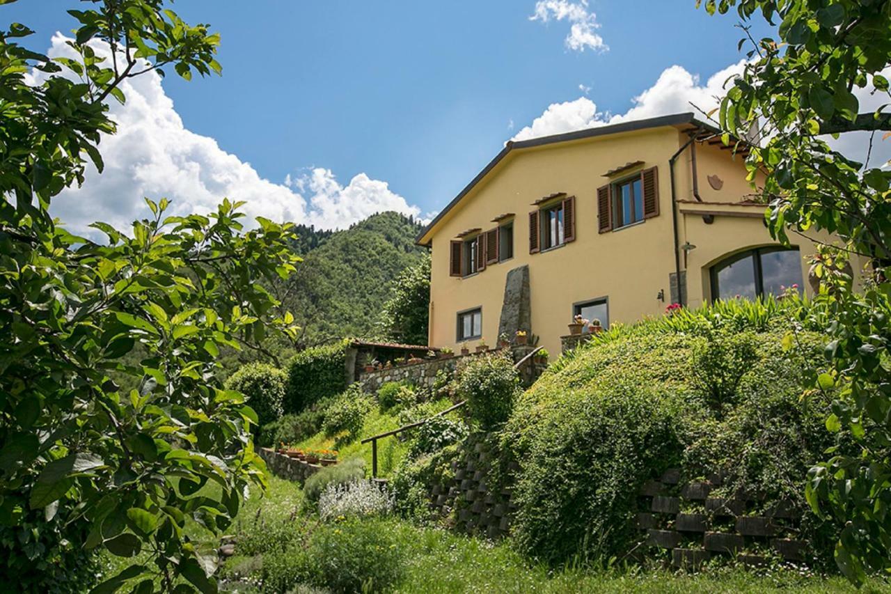 Villa Porcigliano Olive Grove Polcanto 외부 사진