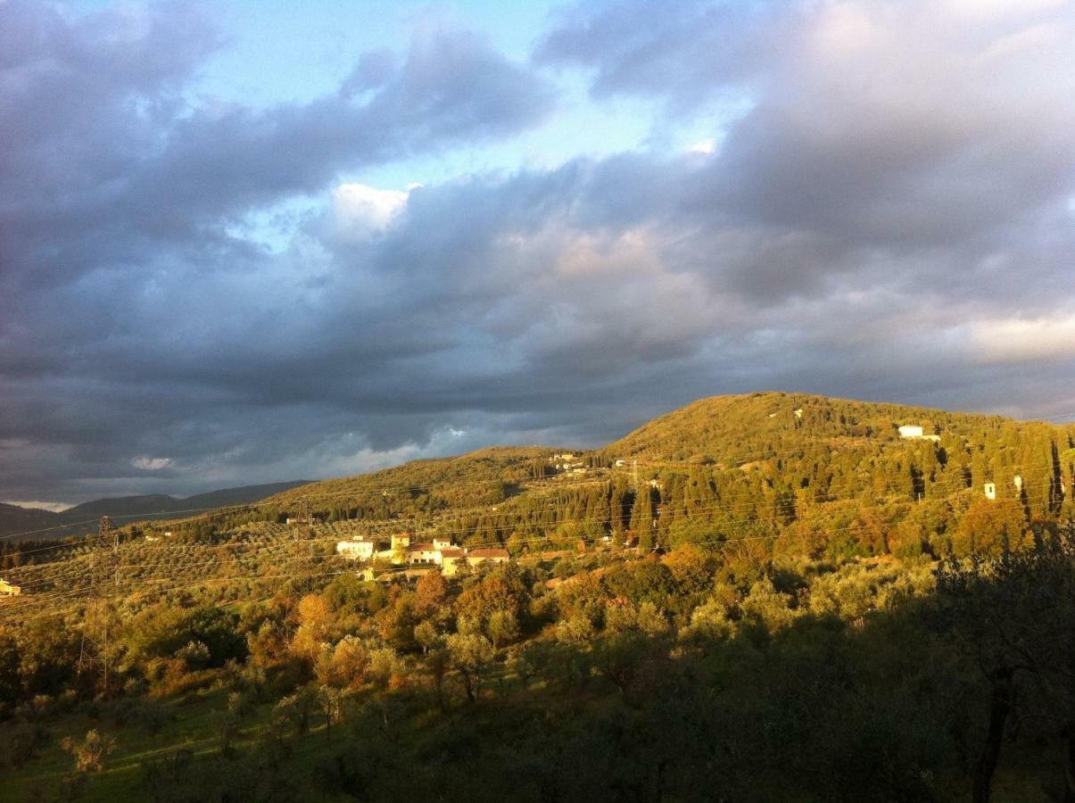 Villa Porcigliano Olive Grove Polcanto 외부 사진